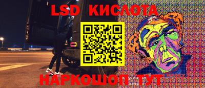 прущие грибы Усть-Джегута